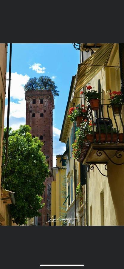 Hotel Casa Luba Lucca Exterior foto